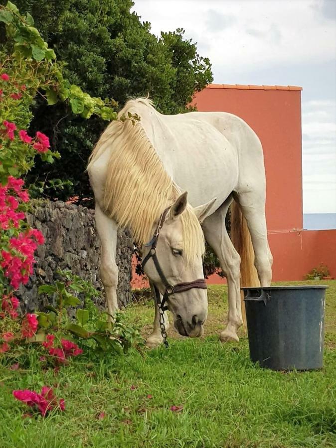 Quinta Da Falesia - Casa Amarela Ponta Delgada Dış mekan fotoğraf