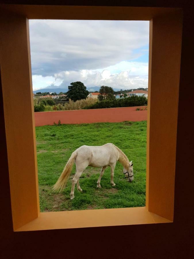 Quinta Da Falesia - Casa Amarela Ponta Delgada Dış mekan fotoğraf