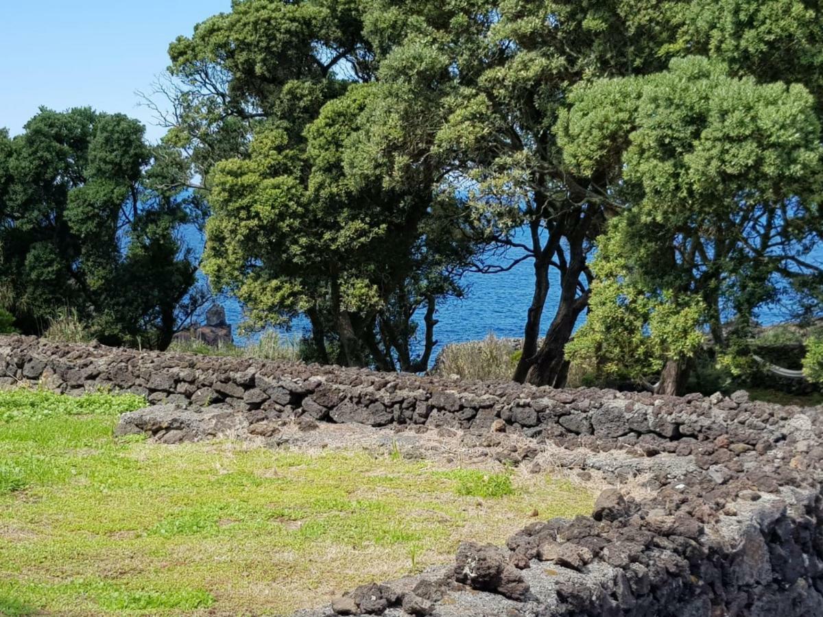 Quinta Da Falesia - Casa Amarela Ponta Delgada Dış mekan fotoğraf