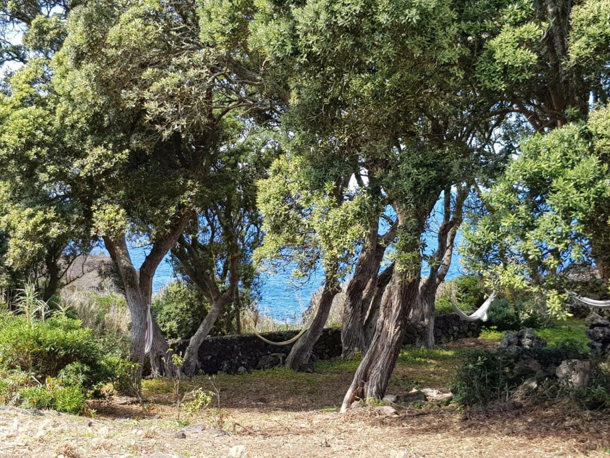 Quinta Da Falesia - Casa Amarela Ponta Delgada Dış mekan fotoğraf